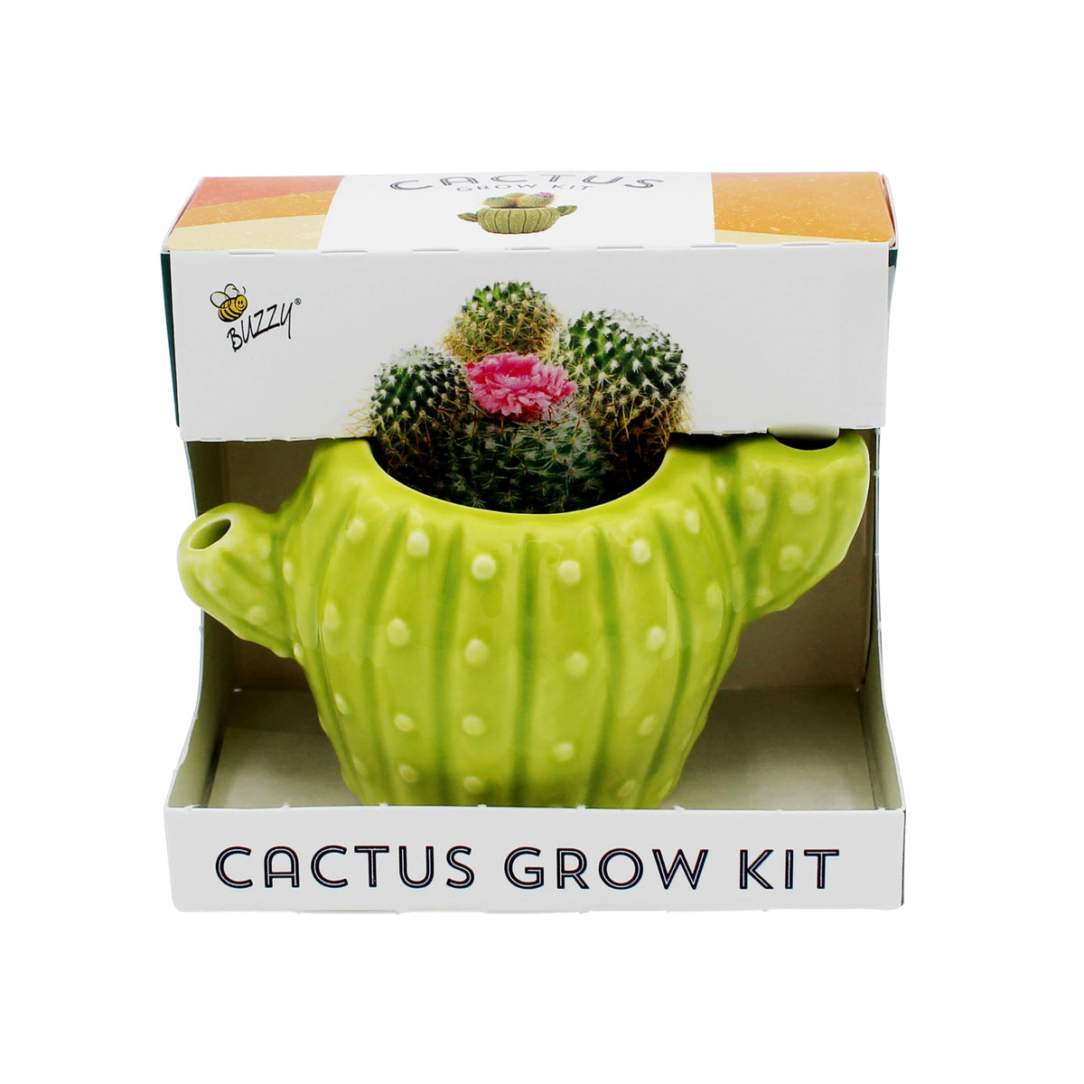 Buzzy Seeds 4pk mini cactus grow kit in ceramic planter for desk decor