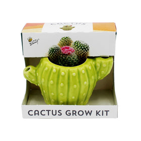 Buzzy Seeds 4pk mini cactus grow kit in ceramic planter for desk decor