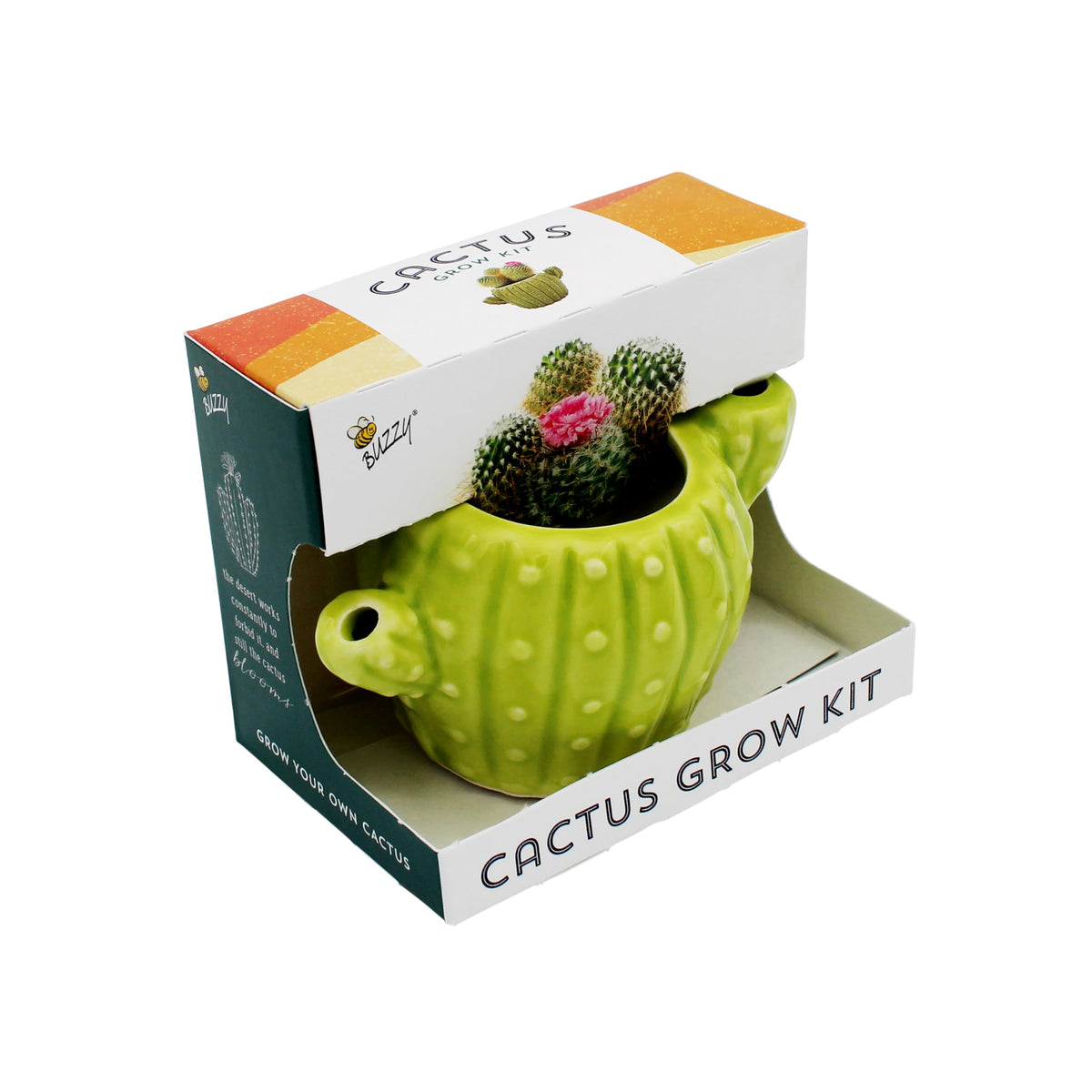 Buzzy Seeds non-GMO cactus seeds ideal for beginner indoor gardening
