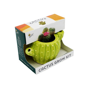 Buzzy Seeds non-GMO cactus seeds ideal for beginner indoor gardening