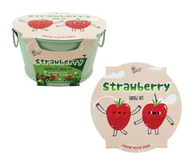 BUZZY alpine strawberry seeds ready to sprout in non-GMO kit.