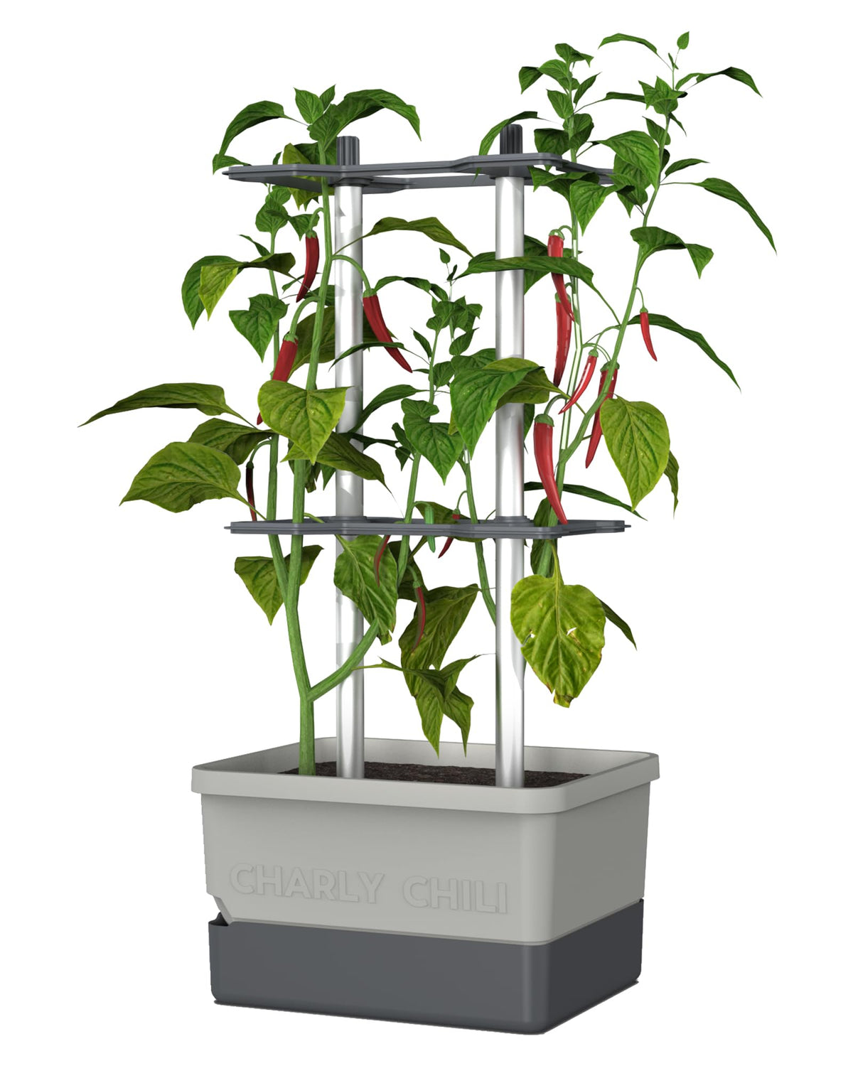 BUZZY Seeds Charly Chili planter exterior grey demonstrates durable outdoor versatility.