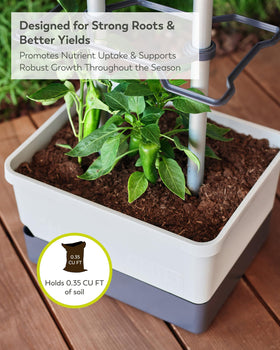 BUZZY Seeds Charly Chili space-saving-design demonstrates efficient patio growing.