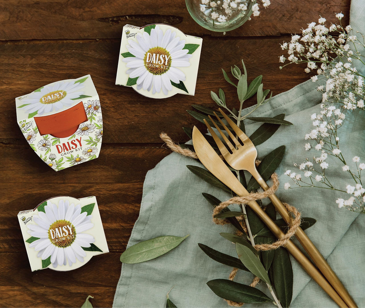 BUZZY Seeds Daisy Daydream gift-ready packaging with rustic charm