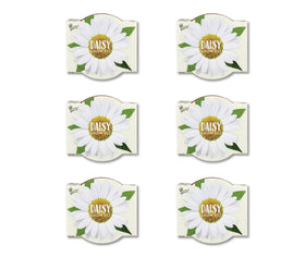 BUZZY Seeds Daisy Daydream seed packs to start vibrant blooms