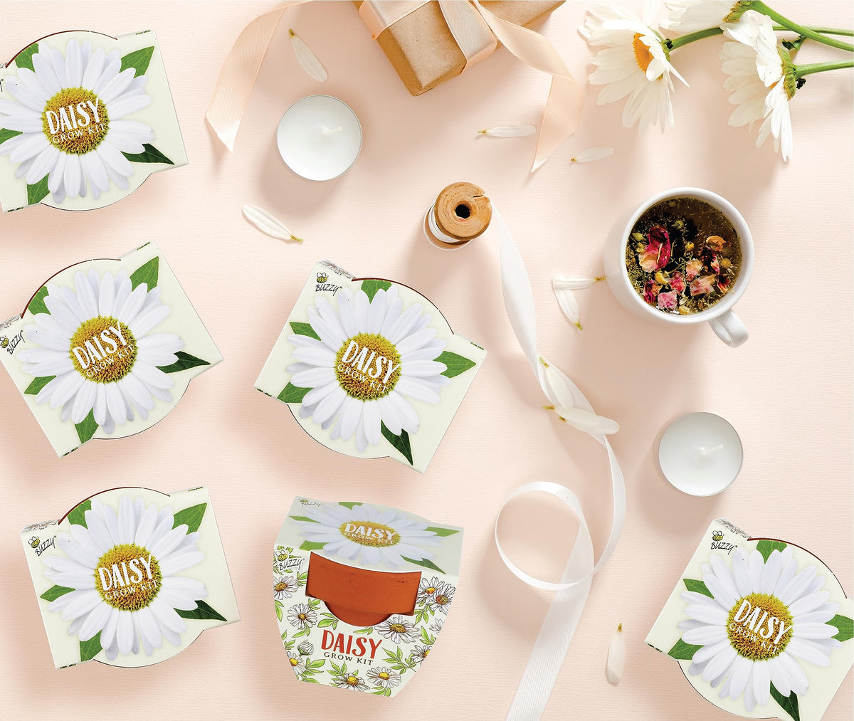 BUZZY Seeds Daisy Daydream wedding favors for garden party gifts