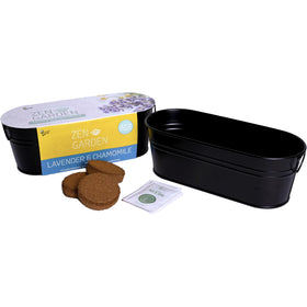 Buzzy Seeds easy-instructions image guiding beginners toward quick indoor gardening success.