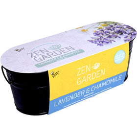 Growing medium shown by Buzzy Seeds supports healthy germination and bright sprouts.