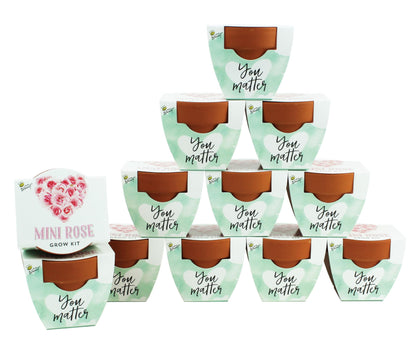 BUZZY Seeds Love Collection kit with terracotta pots enabling easy indoor gardening.