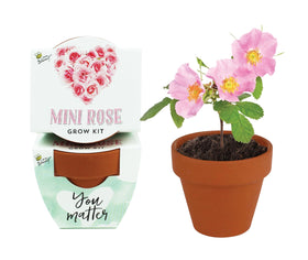 BUZZY mini rose pots set supports beginner-friendly planting in compact spaces.