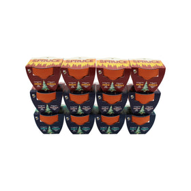 BUZZY Seeds Spruce Tree mini terracotta pots on a sunny windowsill for compact gardening