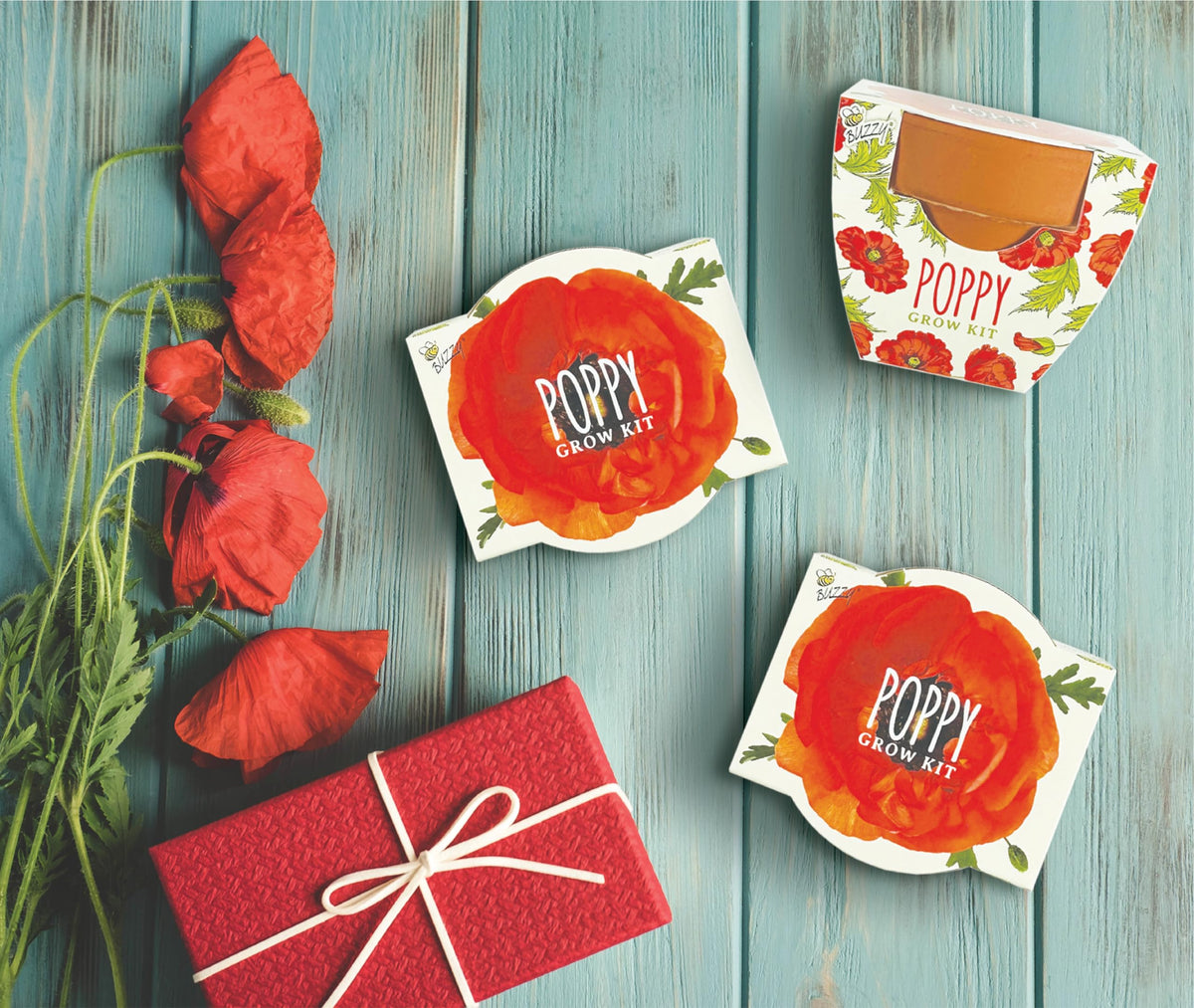 BUZZY Seeds poppy desk garden display for bright desk spaces.