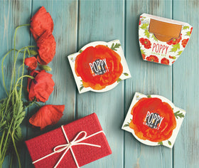 BUZZY Seeds poppy desk garden display for bright desk spaces.