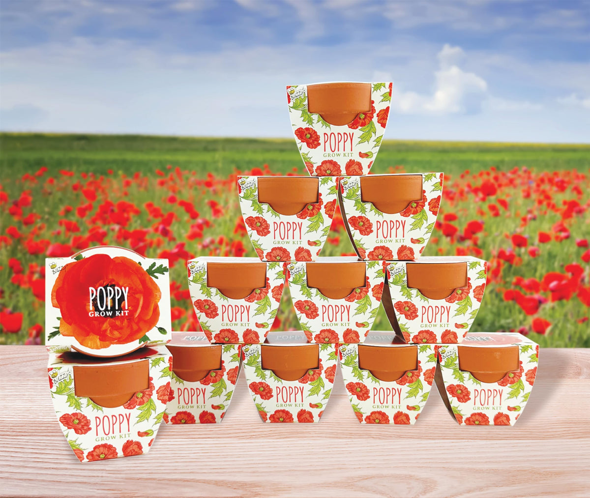 BUZZY Seeds grow kit with clear beginner instructions.
