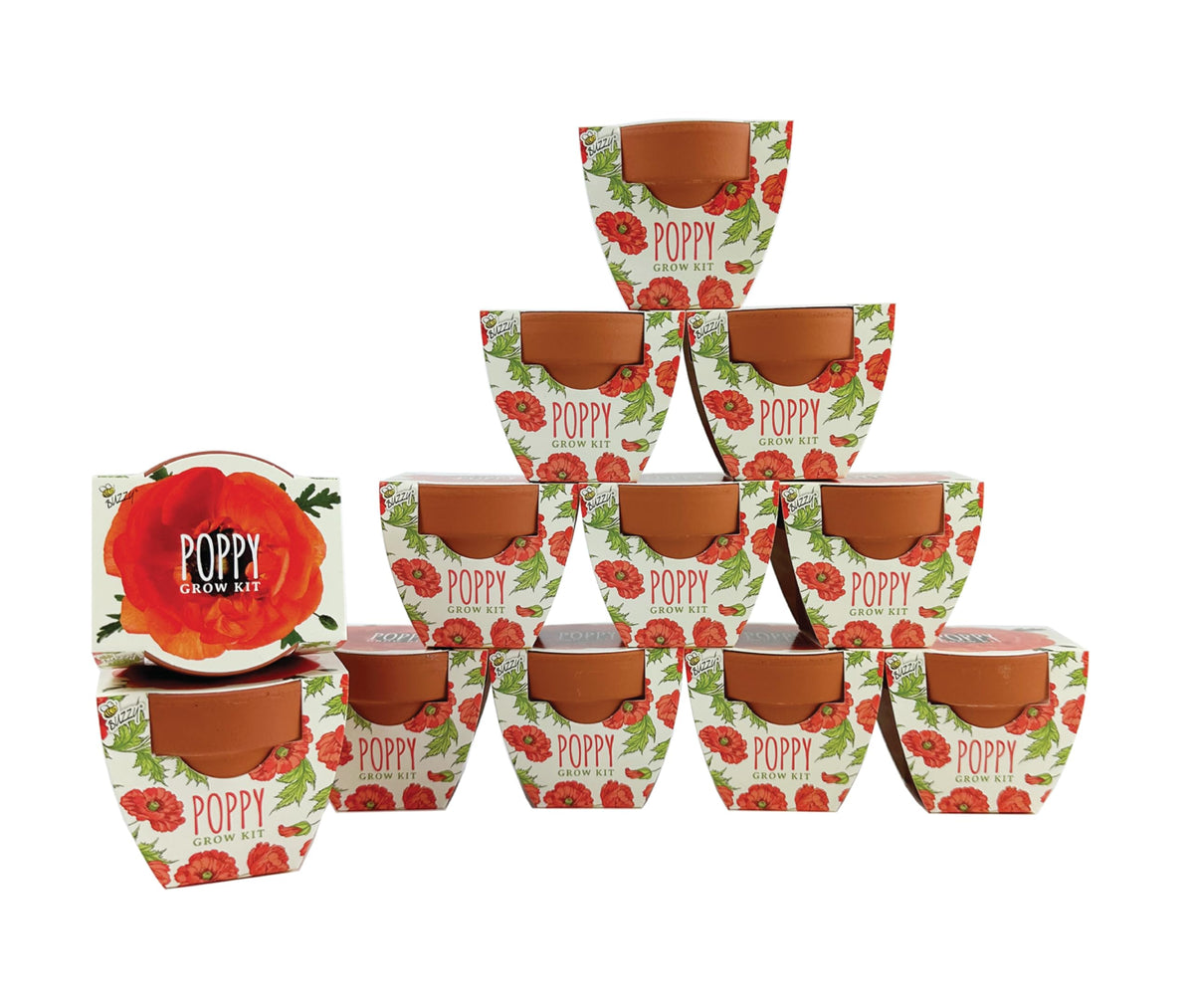 BUZZY Seeds poppy mini terracotta pot set for compact indoor gardens.