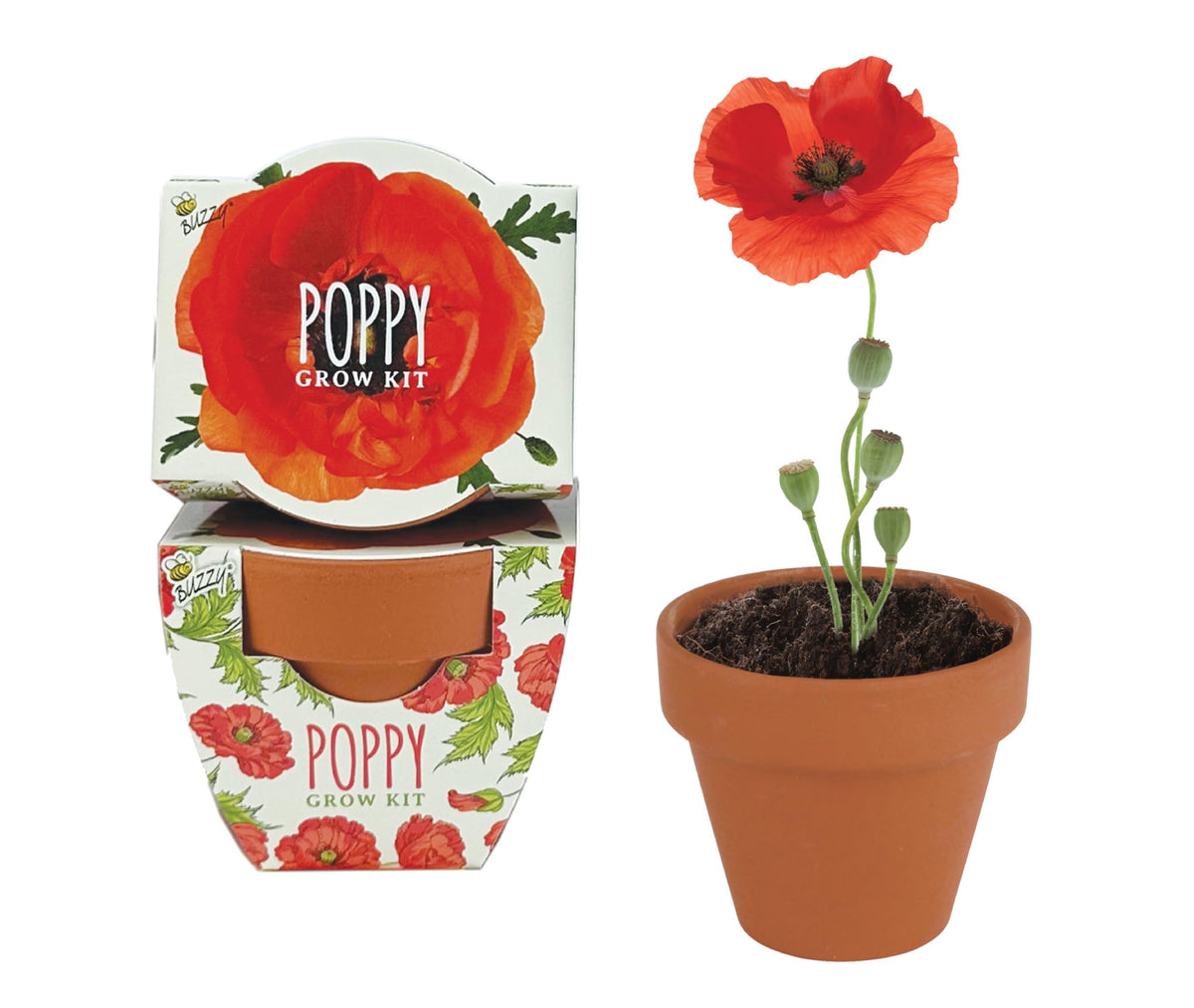 BUZZY Seeds poppy seed packet for easy home gardening projects.