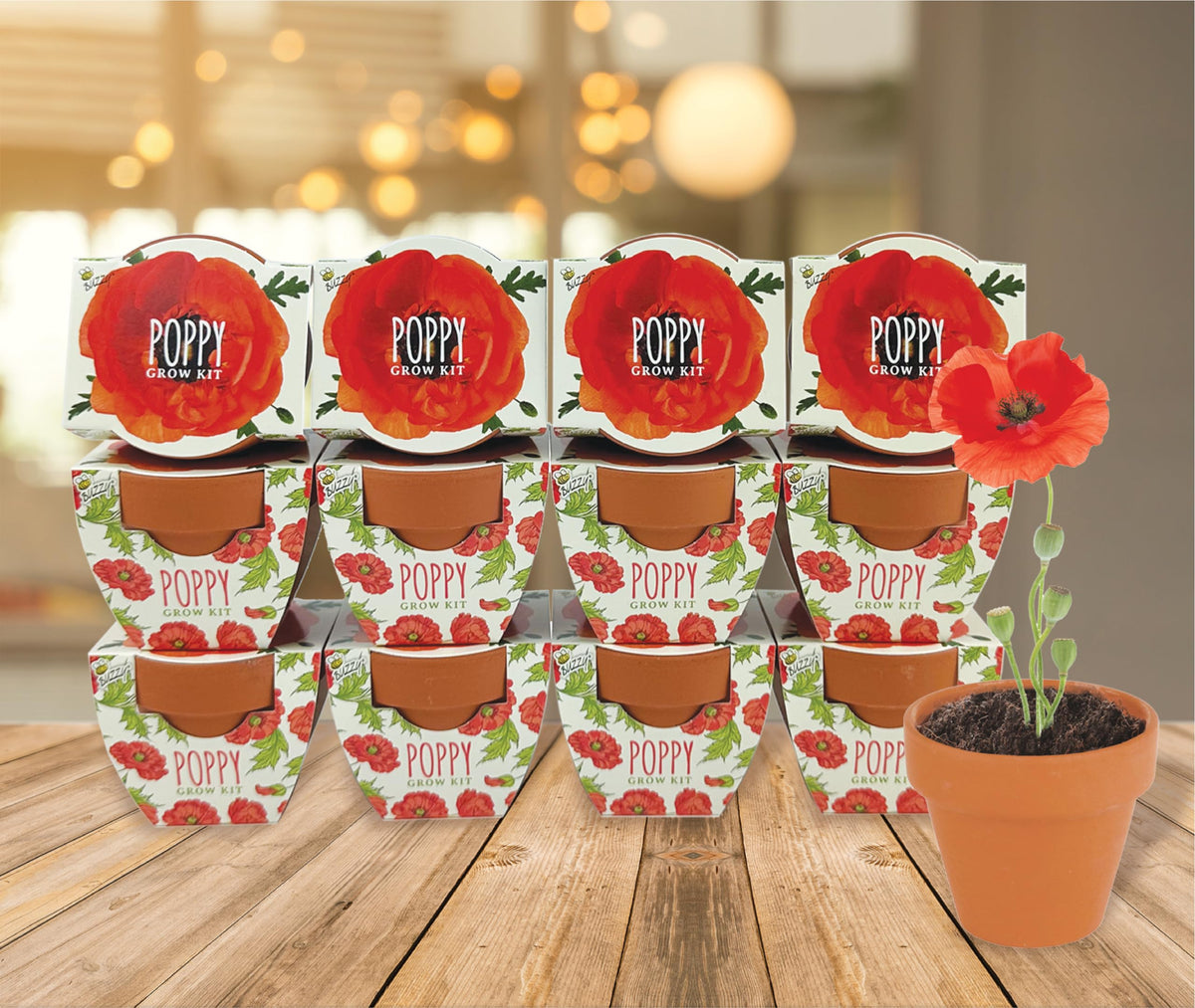 BUZZY Seeds 12-pack of poppy kits ideal for weddings or party favors.
