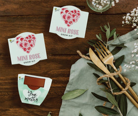 BUZZY Seeds Love kit includes simple step-by-step planting instructions.