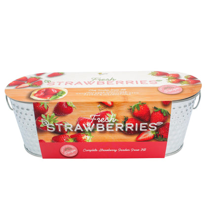 BUZZY Seeds Strawberry Kit planter on a bright windowsill for fresh, homegrown berries