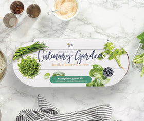BUZZY vintage galvanized container adds rustic charm to indoor garden
