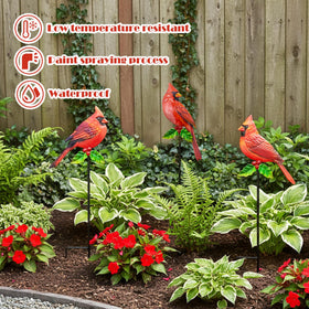BVLFOOK cardinal stake garden sign enhances outdoor curb appeal.