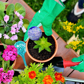 Bvrbaory easy-fill bulbs simplify routine irrigation for busy homes.