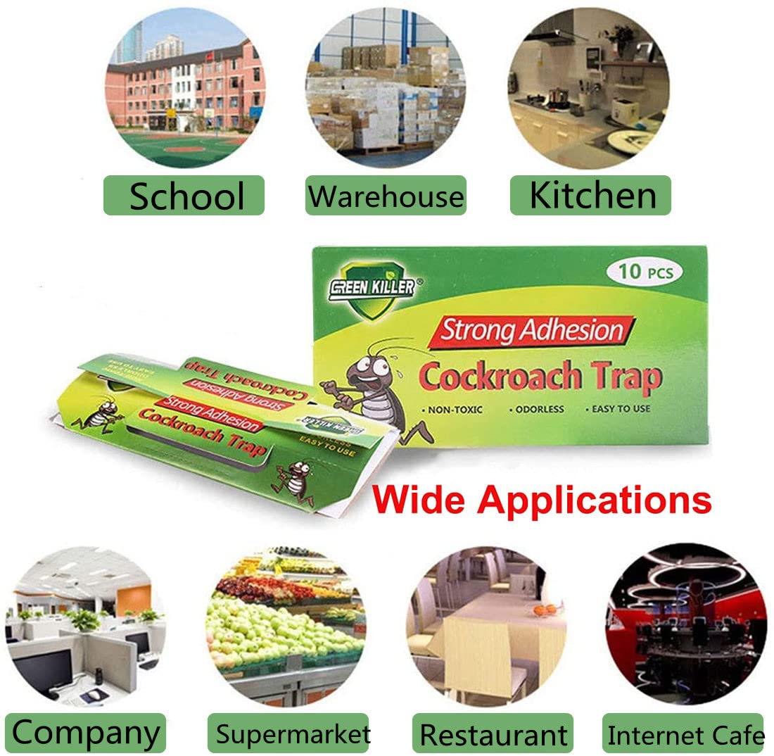 BW Cockroach Trap post-use disposal shows easy cleanup without stains.