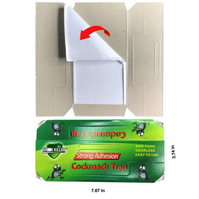 BW Cockroach Trap with multi-entry points promotes faster capture in busy rooms.
