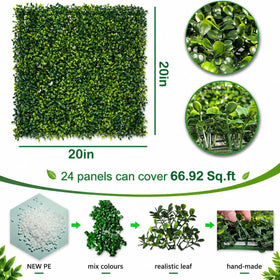 Bybeton boxwood leaves close-up showing dense texture for realistic greenery.