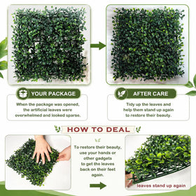 Green panel backdrop adds vibrant atmosphere for events and home decor.