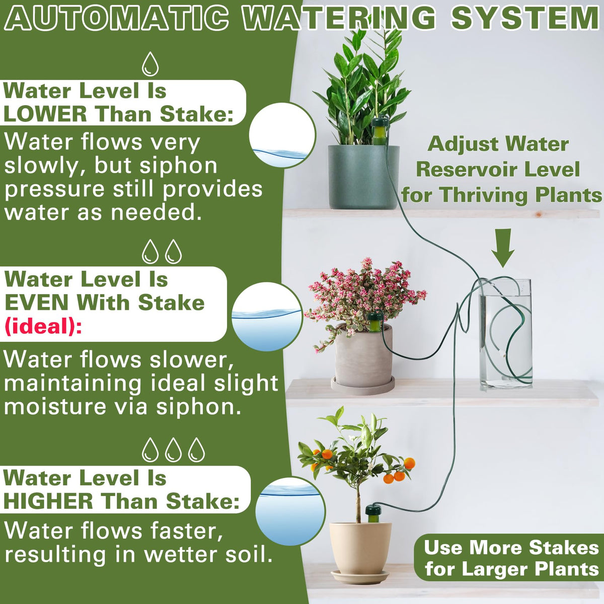 BYDOLL five pack for multiple plants in home and office spaces