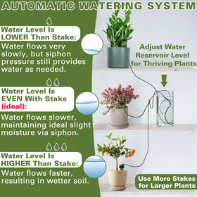 BYDOLL five pack for multiple plants in home and office spaces