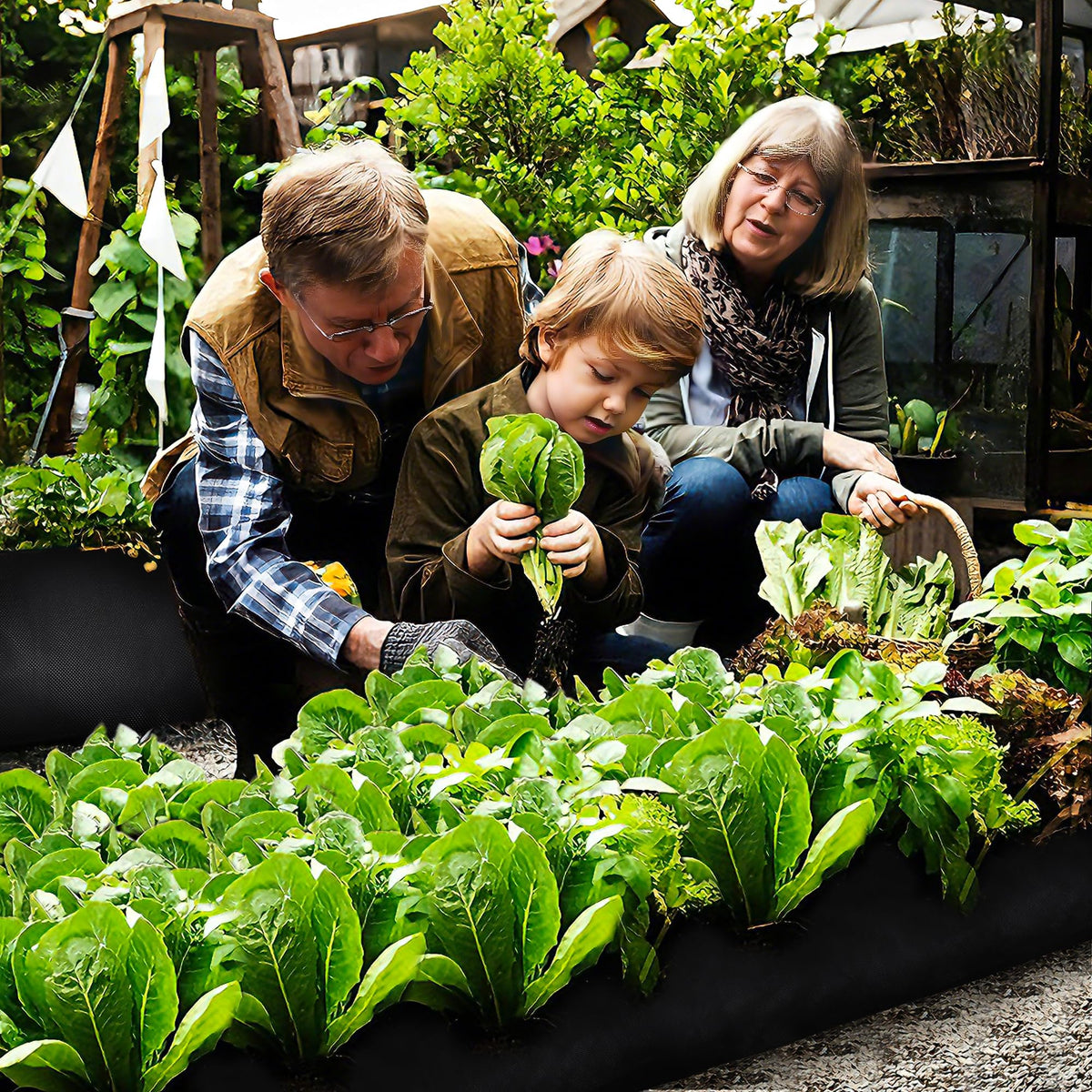 Bylion easy-cutting bags resize to fit different plant sizes.