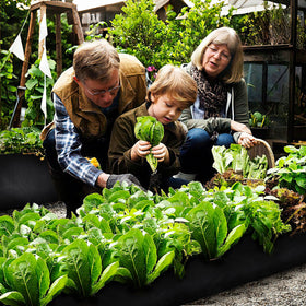 Bylion easy-cutting bags resize to fit different plant sizes.