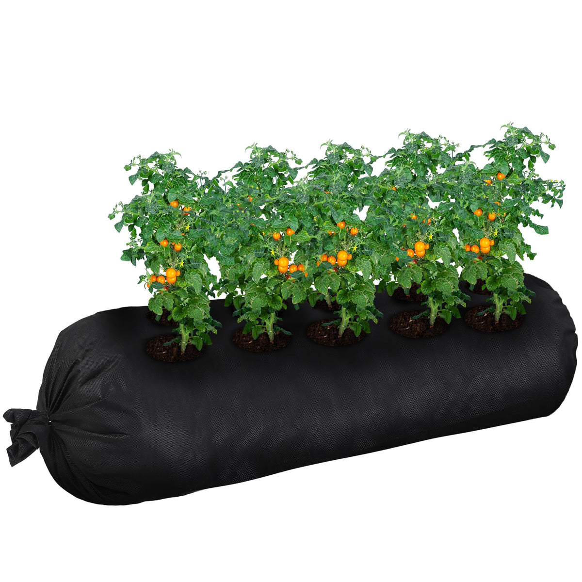 Bylion tubular design grow bag promotes healthy root growth through airflow.