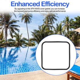 BZTT SPX1600S evaluation of seal performance during pool maintenance