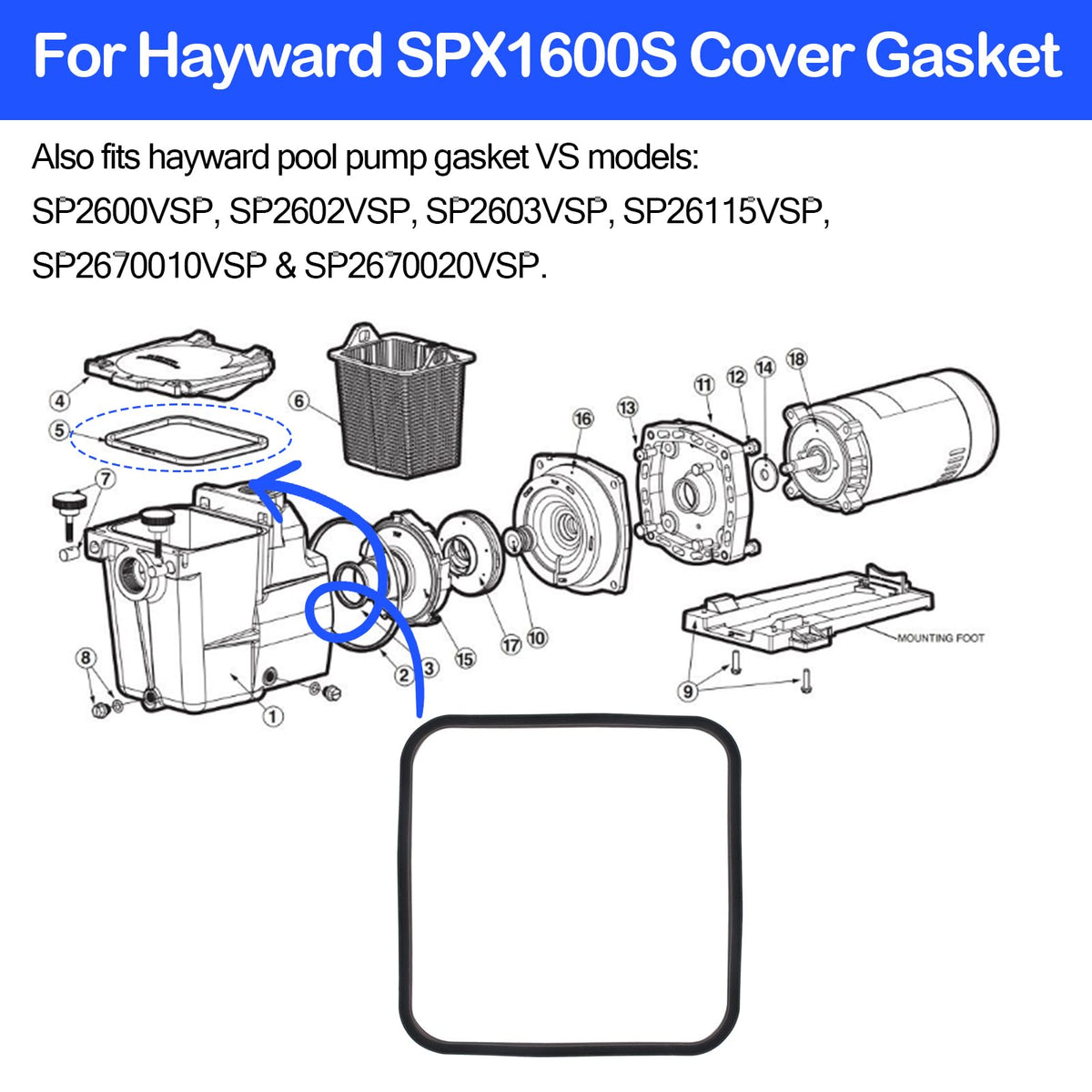 BZTT SPX1600S gasket close-up showing seamless weld and finish