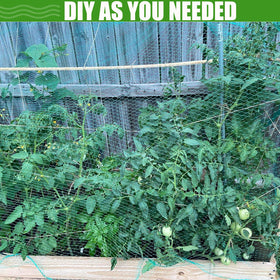 CACERIAWM Mesh prevents tangling and remains reusable season after season.