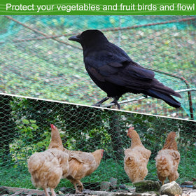CACERIAWM Garden netting is easy to cut to fit individual plants.