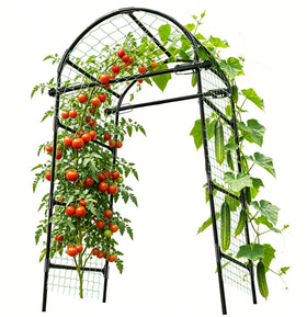 CACERIAWM garden arch trellis outdoors in black, sturdy support for climbing plants.
