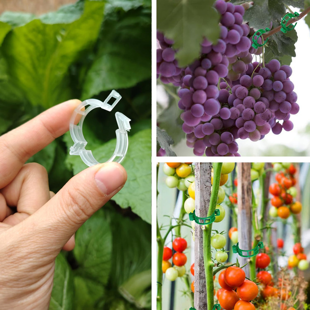 CACERIAWM garden clip pack organized storage for quick seasonal use