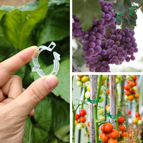 CACERIAWM garden clip pack organized storage for quick seasonal use