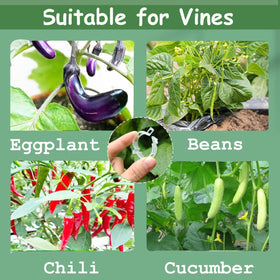 CACERIAWM wide-application clips support tomatoes cucumbers peppers and vines