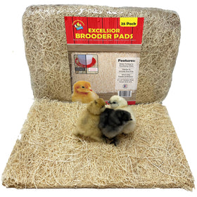 Cackle Hatchery Excelsior Brooder Pad laid flat in a chick brooder for clean footing.