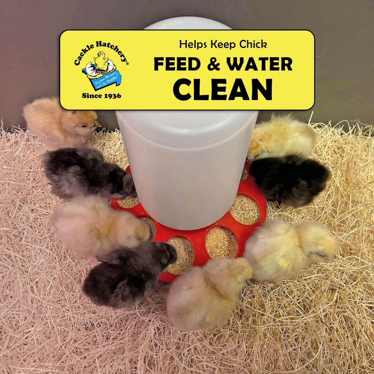 25-pack Excelsior pads offer low-dust bedding for a calmer brooder environment.