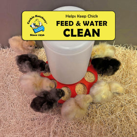 25-pack Excelsior pads offer low-dust bedding for a calmer brooder environment.