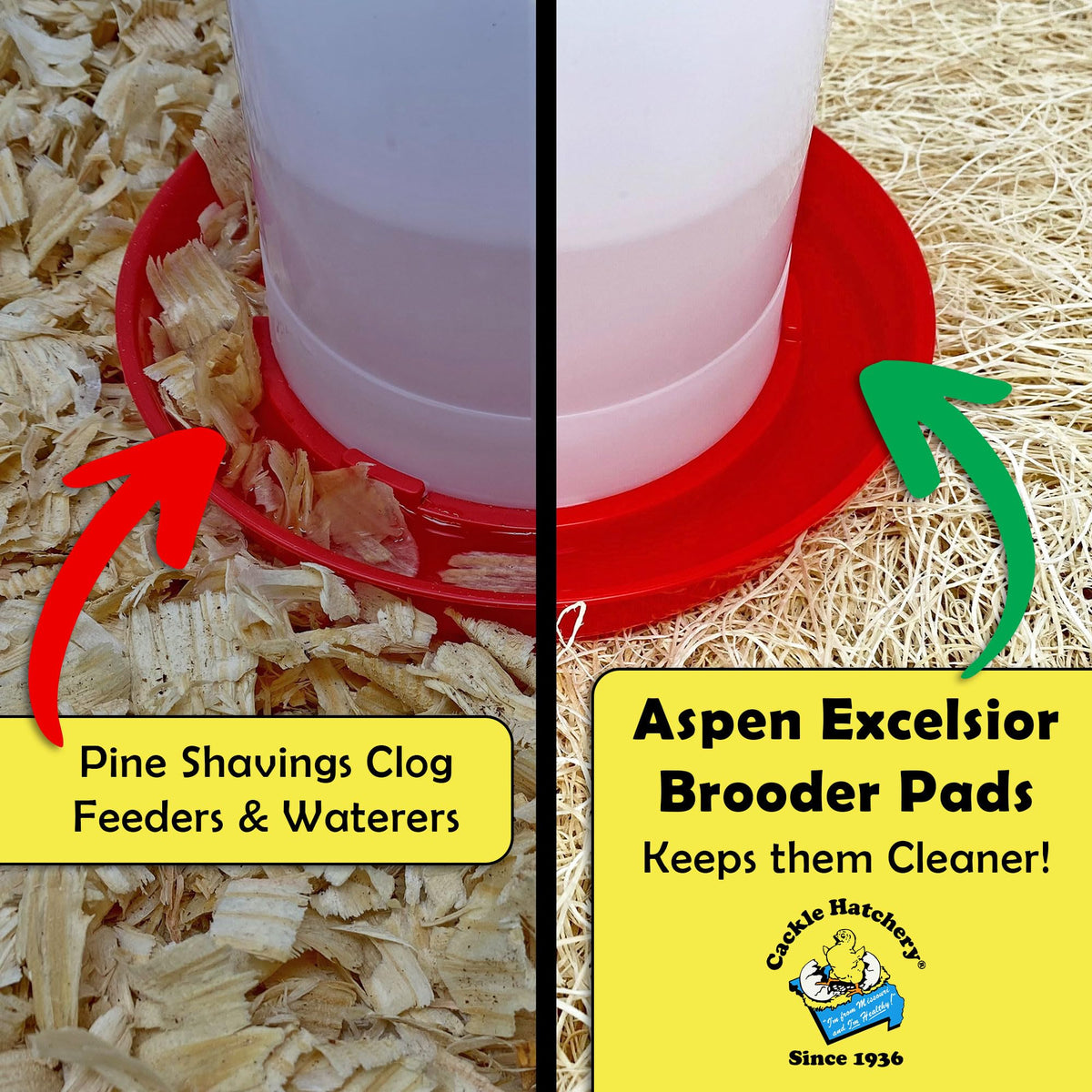 Cackle Hatchery Excelsior Brooder Pad placed under feeder and waterer to reduce mess.