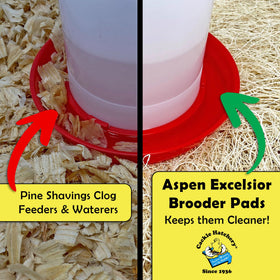 Cackle Hatchery Excelsior Brooder Pad placed under feeder and waterer to reduce mess.