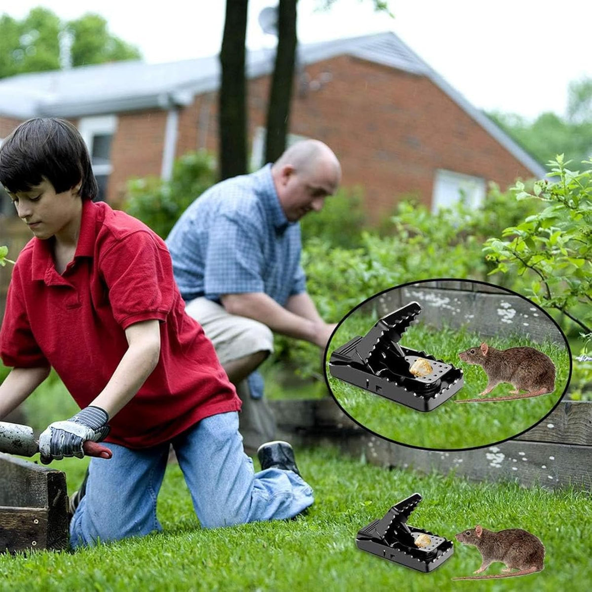CACUTUSGO 20-pack packaging displayed for ongoing indoor rodent control.