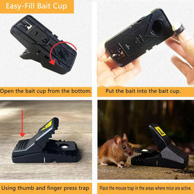 CACUTUSGO easy-set trap positioned along walls with clear instructions.